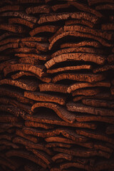 Travelling around Porto. Seeing some museums. ENjoying the life of Porto