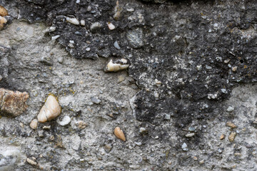 Weathered concrete wall texture featuring embedded stones and a striking contrast between light gray and dark. Natural erosion, cracks, and mineral deposits. Concrete wall texture 