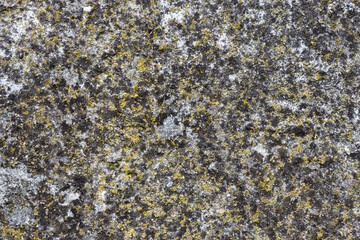 Dirty stone wall texture with moss in the stone. Stone texture picture