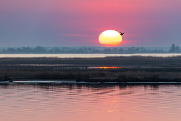 Idyllische Boddenlandschaft mit tiefstehender Sonne im Fr&uuml;hjahr.