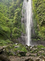 waterfall in the jungle