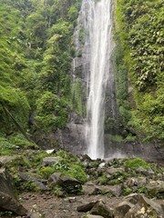waterfall in the forest