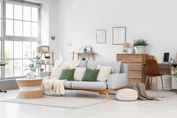 Interior of stylish living room with grey sofa, coffee table and olive tree