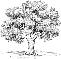 Simple Olive Tree Black Silhouette Vector Olive Tree Black Vector Logo with Branches