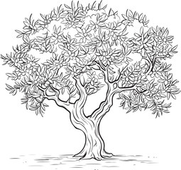 Clean Olive Tree Black Silhouette Logo Olive Tree Vector Black Icon with Branch Detail