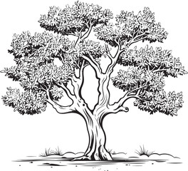 Simple Olive Tree Black Vector Silhouette Olive Tree Vector Black Icon with Branch Details