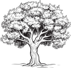 Elegant Black Olive Tree Line Art Logo Olive Tree Black Vector Logo with Roots Detail