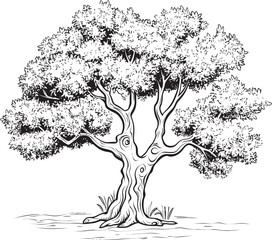 Olive Tree Black Vector Logo with Roots Detail Simple Olive Tree Black Vector Icon Design