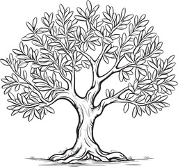 Olive Tree Vector Black Logo with Branch Detail Olive Tree Black Vector Icon with Leaves Silhouette