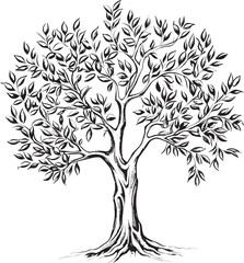 Olive Tree Black Vector Icon with Branch Detail Olive Tree Black Vector Logo with Leaves Silhouette