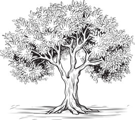 Olive Tree Black Vector Icon with Branch Detail Olive Tree Black Vector Logo with Leaf Silhouette