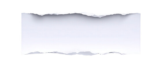 Obraz premium Ripped white paper rectangle (6)