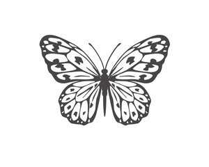 authantic Aleyna lucky flat of butterfly