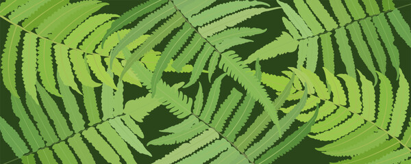 fern leaf background