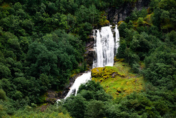 Serene waterfall amidst lush greenery in a forest landscape