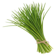 Fresh bunch of green chives tied with twine isolated on transparent background