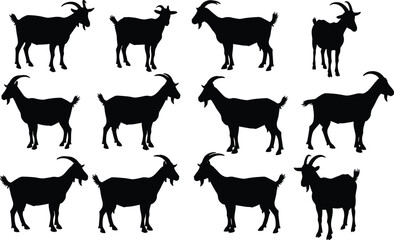 Goat silhouette vector collection – farm animal clipart for agriculture designs, educational materials
