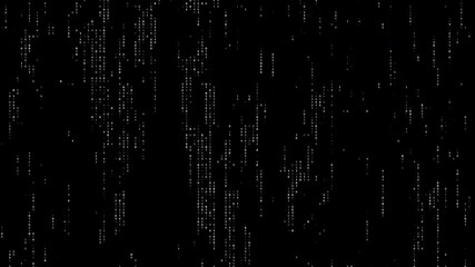 Loop animation of a white random digital data matrix of binary code numbers isolated on a black background. Seamless motion background for technology, coding, science, cyberspace, or UI concept - Powered by Adobe