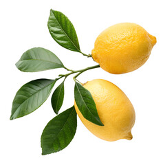 two yellow lemons with leaves top view on white background png