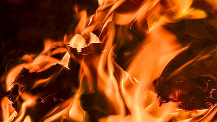 Close-up view of burning paper, showcasing vibrant flames and intense heat.