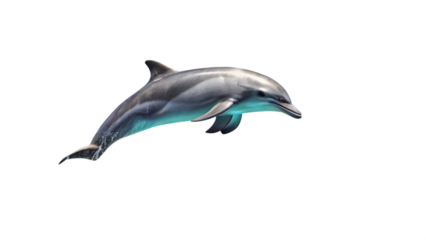 A sleek grey dolphin leaping out of the water, showcasing its powerful body and playful nature, isolated on transparent background