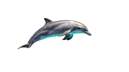 Fototapete Delphin A sleek grey dolphin leaping out of the water, showcasing its powerful body and playful nature, isolated on transparent background  © NAKIB