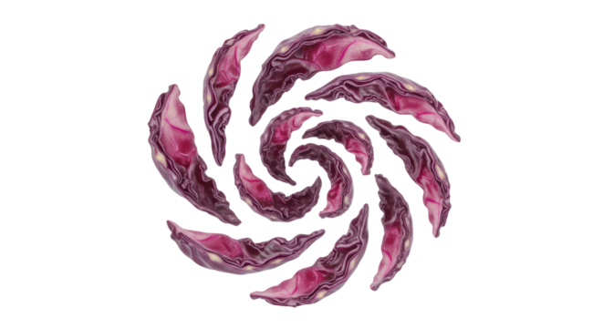 Abstract Purple Swirling Pattern Isolated On Black Background Creative Design With Organic Shapes Forming A Circular Composition