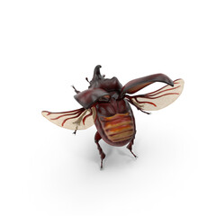 Rhinoceros Beetle Oryctes Nasicornis Flying isolated on transparent background