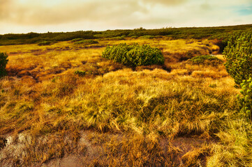 Trawy i bagna po horyzont - Krajobraz Karkonoskiej Tundry. © Pol Badger