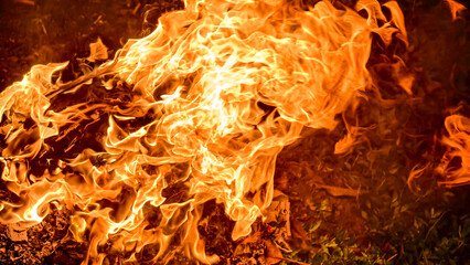 Intense close-up of vibrant flames dancing and consuming an unknown object.
