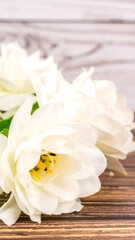 Obraz premium Close-up of Elegant White Flowers on Wooden Surface, Soft Lighting.