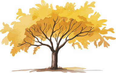 Watercolor illustration of a single ginkgo biloba tree with golden-yellow autumn leaves and dark brown trunk on a white background

