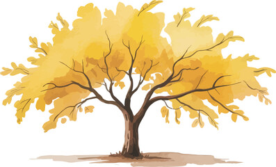 Watercolor illustration of a single ginkgo biloba tree with golden-yellow autumn leaves and dark brown trunk on a white background

