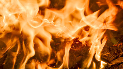 Close-up view of vibrant orange flames dancing over burning wood embers.