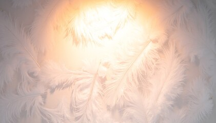 A serene white feather wallpaper softly illuminated by warm orange light, creating a cozy and inviting atmosphere in a stylish interior space.