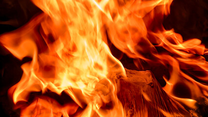 Close-up view of vibrant flames dancing and consuming wood, creating a fiery spectacle.
