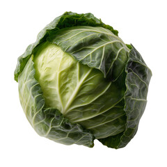 Fototapeta premium Fresh and vibrant head of cabbage. Capturing the natural textures and healthy appeal of this green vegetable