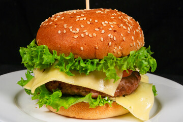 Delicious cheeseburger with lettuce and sesame bun on white plate