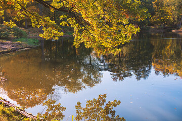 Tranquil pond mirrors the fiery hues of surrounding autumn trees, creating a vivid tapestry of reflections. Still water and soft light evoke a peaceful, almost meditative mood