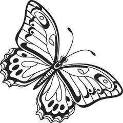 Elegant black and white butterfly vector illustration on a white background with decorative wings and a swallowtail pattern