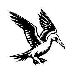 Obraz premium Black and white illustration of a flying seabird