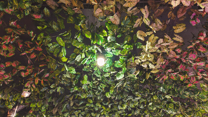 Ceiling covered in colorful foliage with a single light bulb shining brightly in the center.
