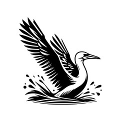 Fototapeta premium Bird taking flight from water with wings spread