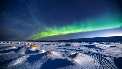 a frozen tundra with an aurora borealis lighting up the sky