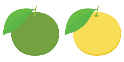 Oroblanco Fresh Food Vector Icon Design. Free Download