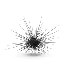 Naklejka premium Sea Urchin with Long Spines Isolated on Transparent Background