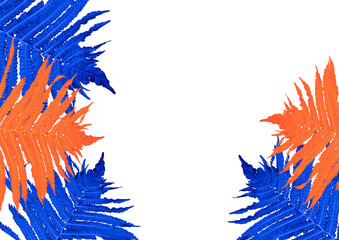 Neon orange and electric blue fern leaves arranged in a symmetrical frame on a transparent...