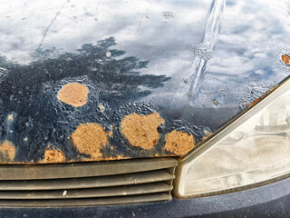 Car hood displays significant damage with rust spots and paint peeling in an outdoor setting