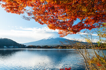 Rhythm of Autumn: Red Maple leaves Sparkling in Sunlight by lakeshore before Mount Fuji