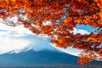 Rhythm of Autumn: Red Maple leaves Sparkling in Sunlight by lakeshore before Mount Fuji